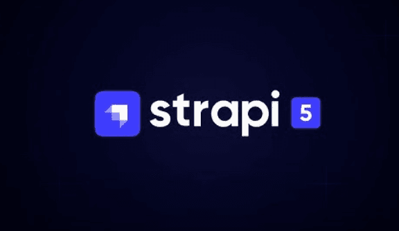Strapi 5を極限カスタマイズ、Quillと多組織対応など